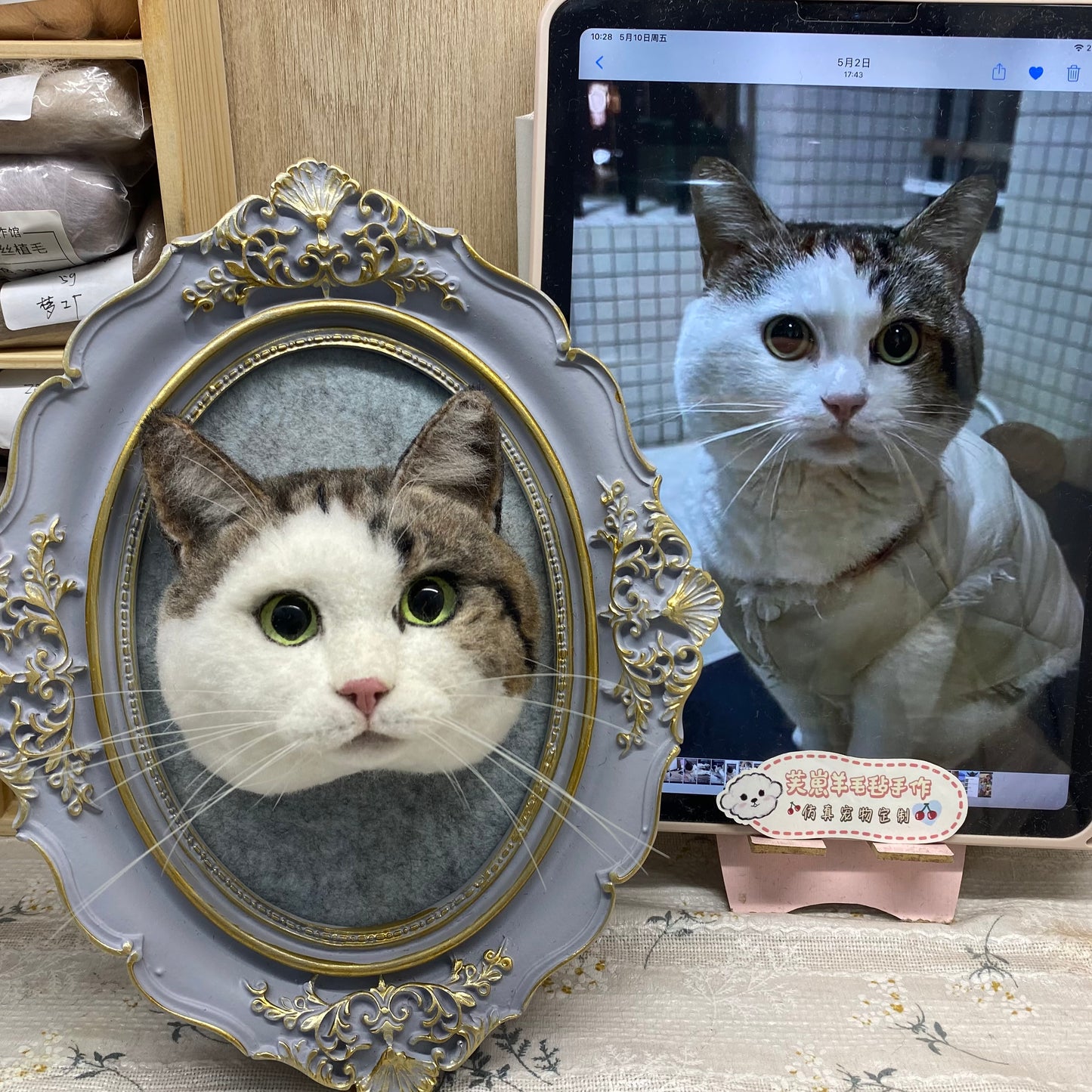 Framed Cat Head Portrait
