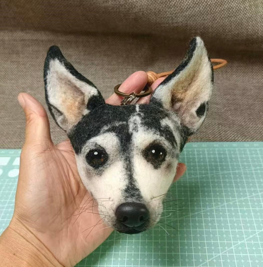 Customized Pet Ornaments