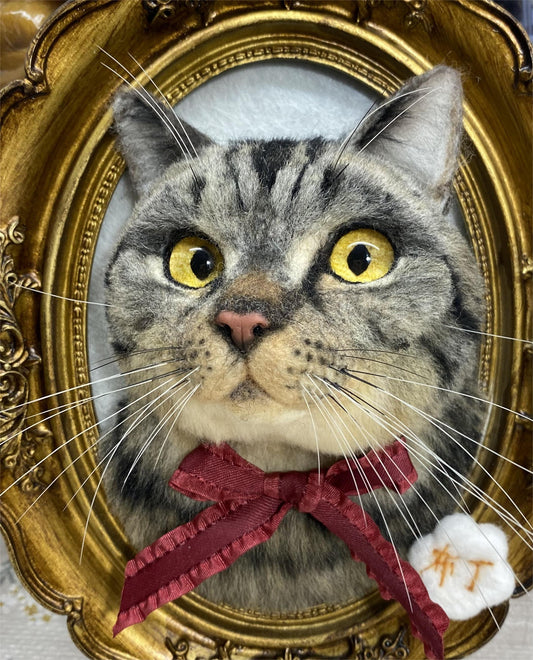 Cat chest portrait